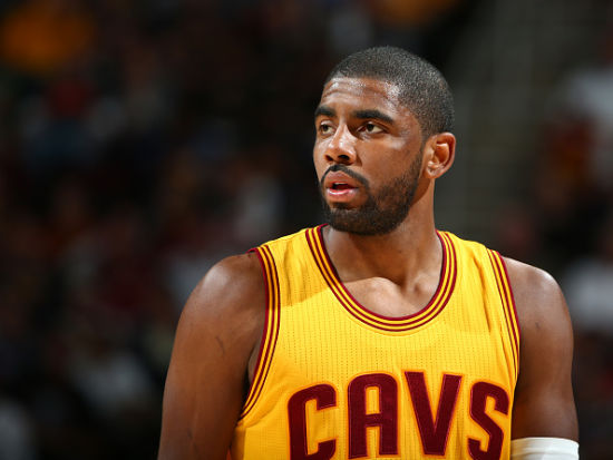 动物福利的 动物福利的